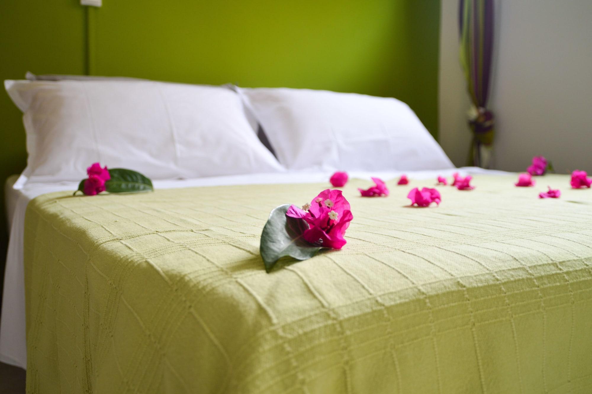 Tante Arlette Hotel Grand'Riviere Екстериор снимка